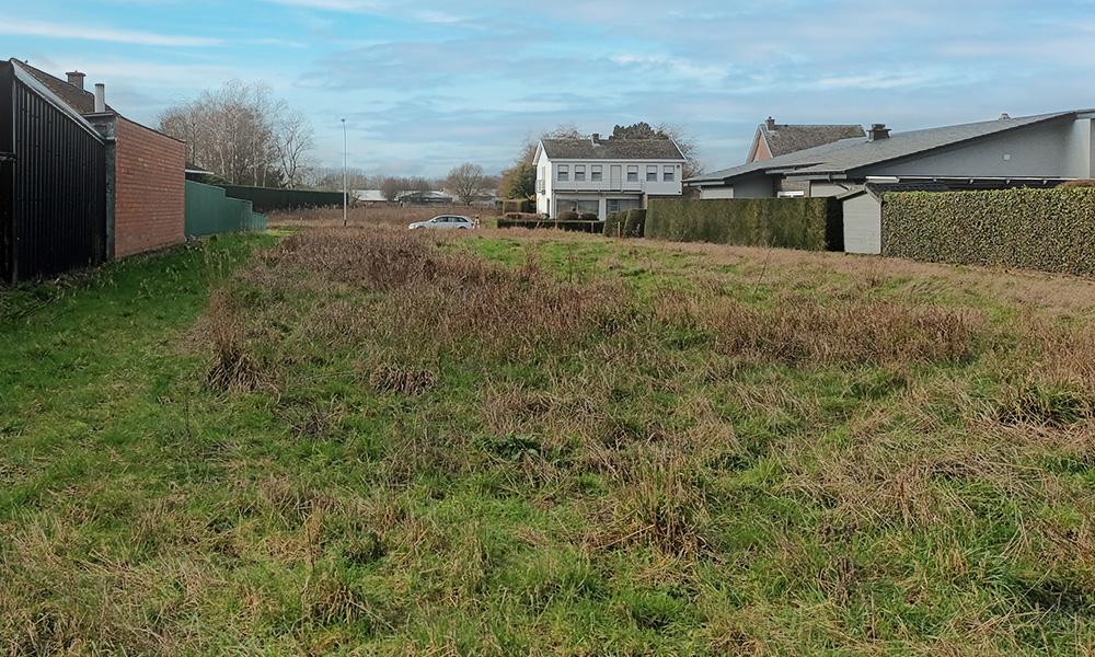 Nieuwbouwproject Puurs-Sint-Amands (2870) - Hoek ten Eiken: Halfopen bebouwing lot 6