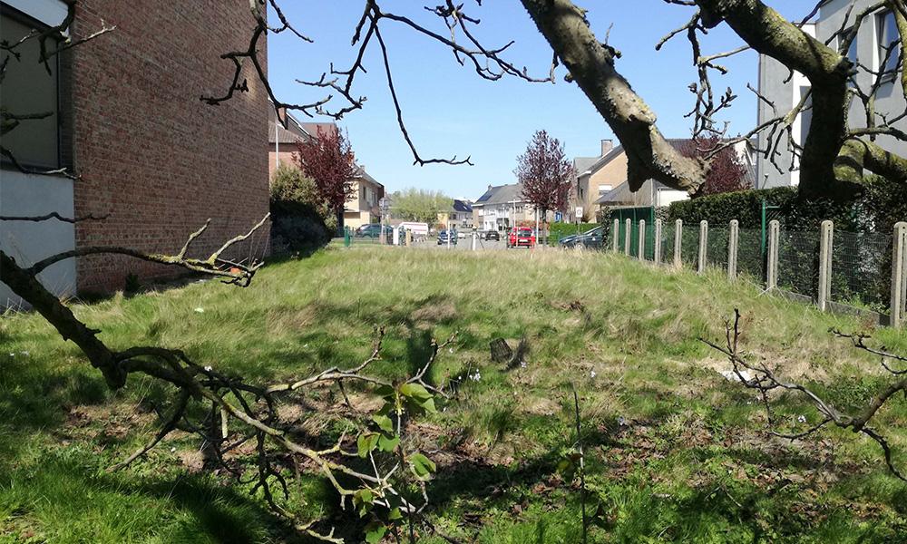 Nieuwbouwproject Merchtem (1785) - Kalkovenlaan: Halfopen bebouwing