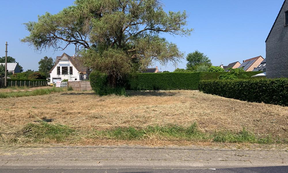 Nieuwbouwproject Serskamp (Wichelen) (9260) - Biesakker: Halfopen bebouwing lot 2