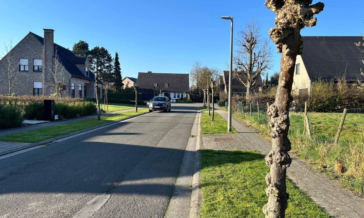 Nieuwbouwproject Lede (9340) - Bambochtweg: Halfopen bebouwing - lot 1