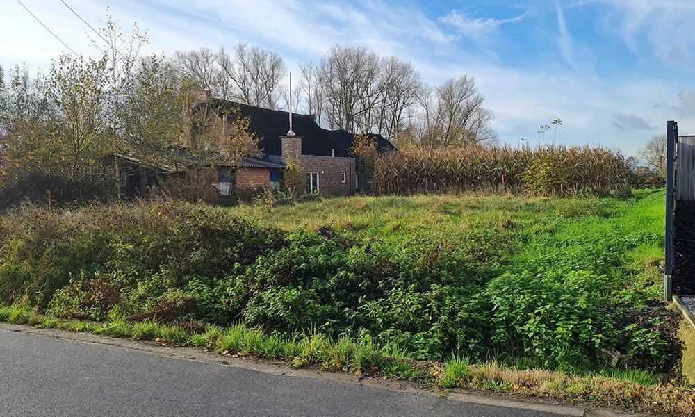 Nieuwbouwproject Hamme-Zogge (9220) - Meerstraat: open bebouwing lot 2