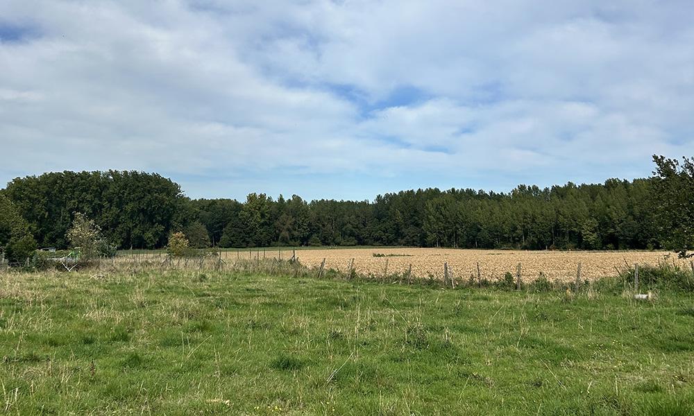 Nieuwbouwproject Opwijk (1745) - 't Kintstraat: Open bebouwing lot 4